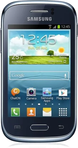 Samsung Galaxy Young S6310