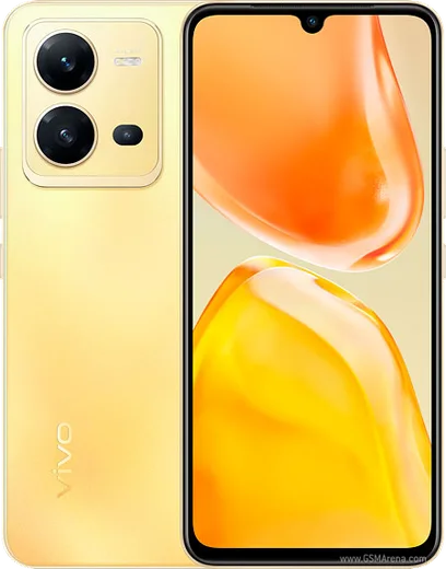 Vivo X80